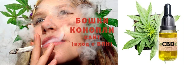 PSILOCYBIN Новозыбков