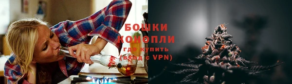 шишки Нягань