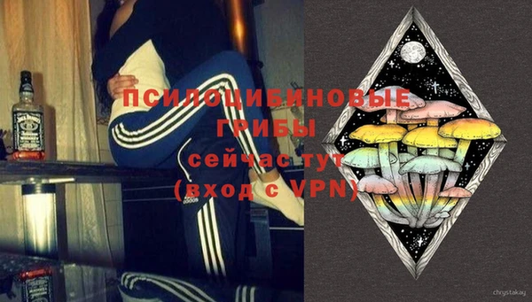 шишки Нягань