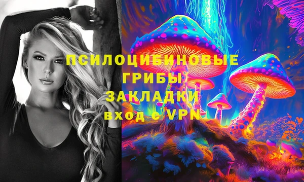 шишки Нягань