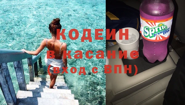шишки Нягань
