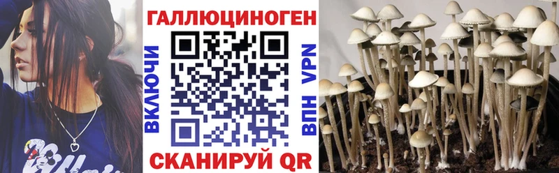 Купить где  Могоча  Псилоцибиновые грибы ЛСД 